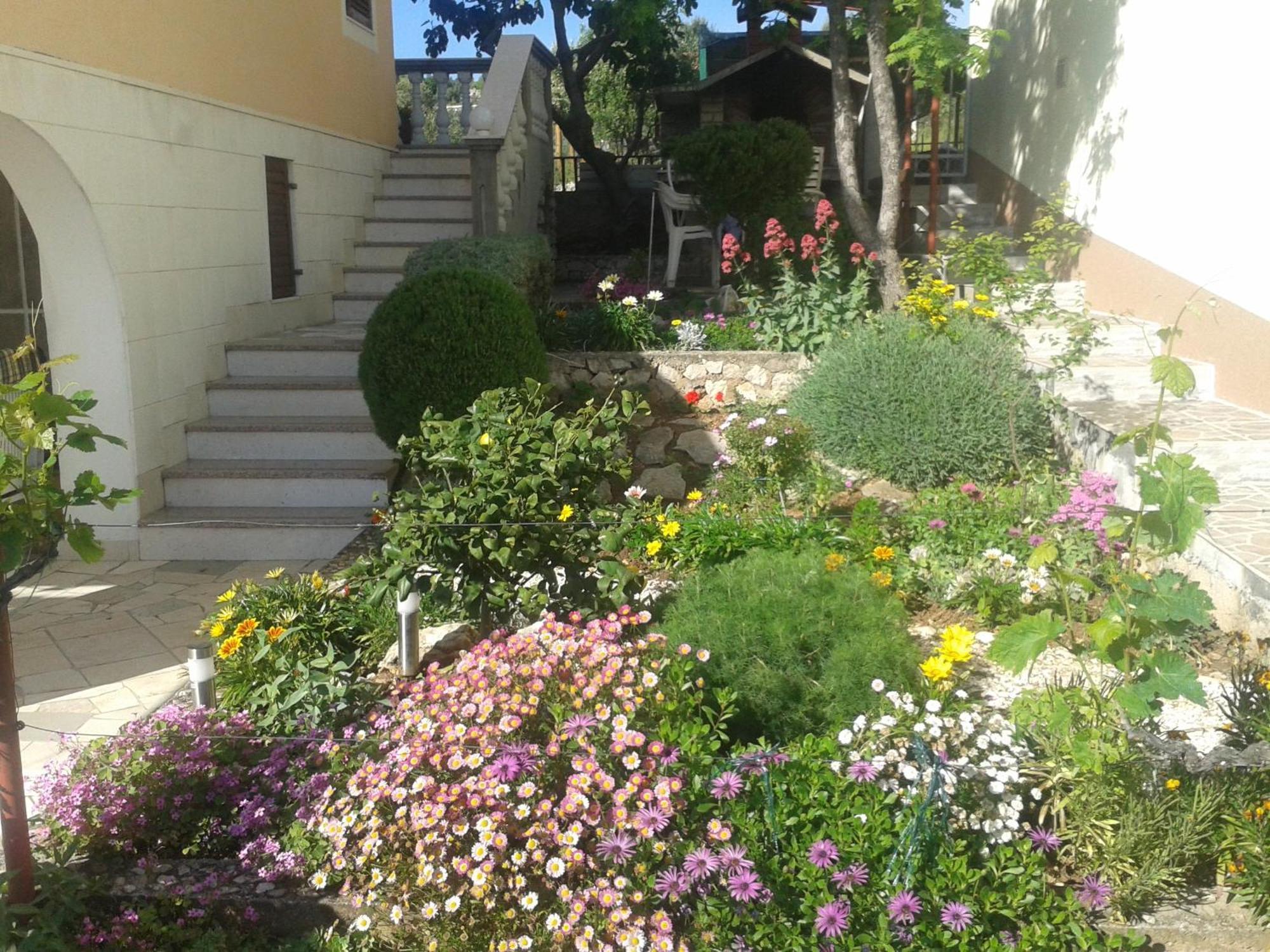 Apartments Zdenka روغوزنيكا المظهر الخارجي الصورة