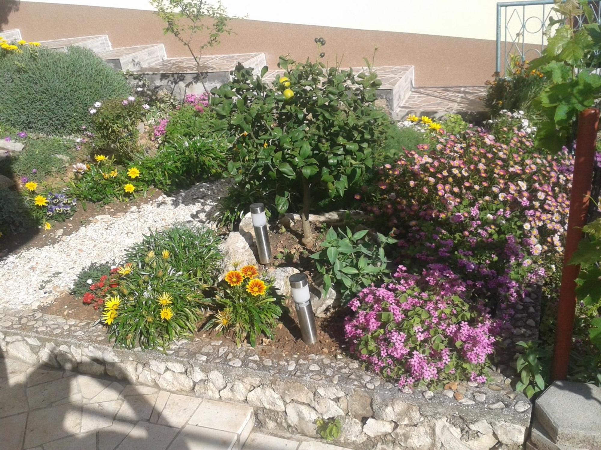Apartments Zdenka روغوزنيكا المظهر الخارجي الصورة